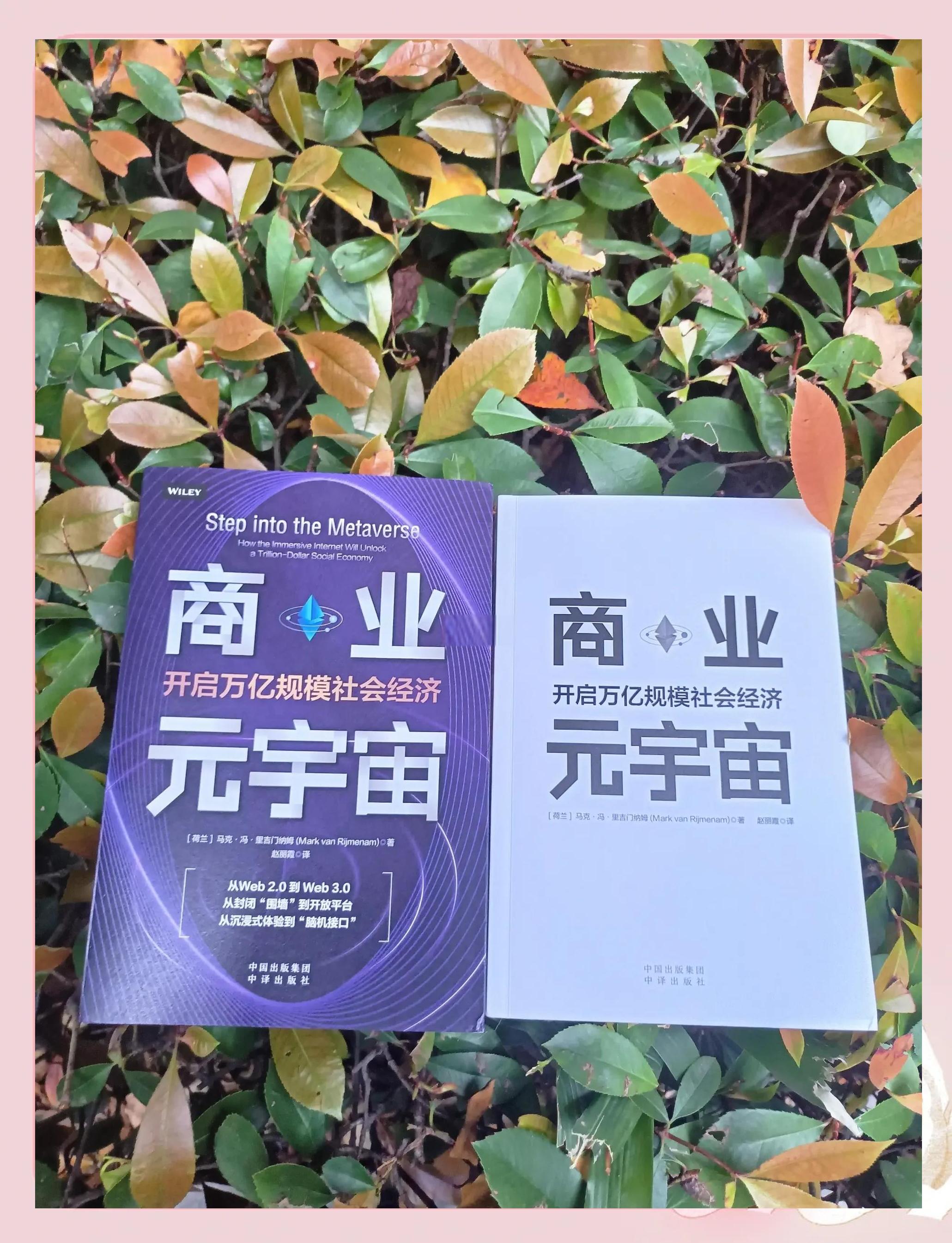 元宇宙与区块链迎来新机遇，行业发展引发关注。的简单介绍